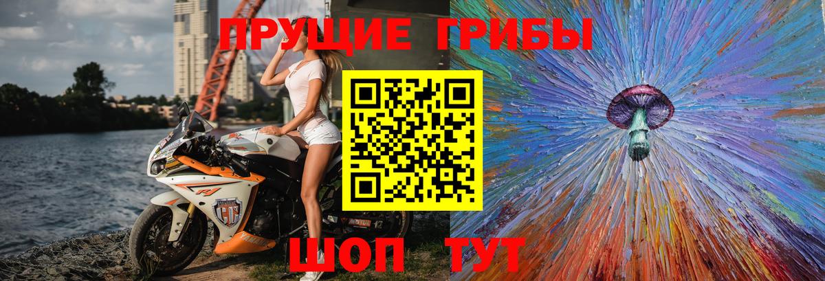 Псилоцибиновые грибы MAGIC MUSHROOMS Унеча