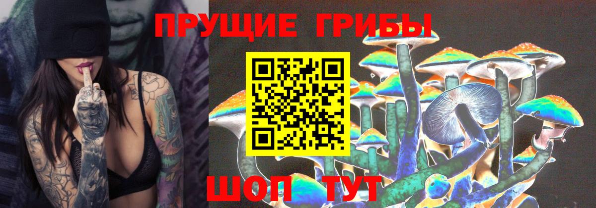 Псилоцибиновые грибы GOLDEN TEACHER  Галлюциногенные грибы мицелий  Вход с VPN  Унеча 